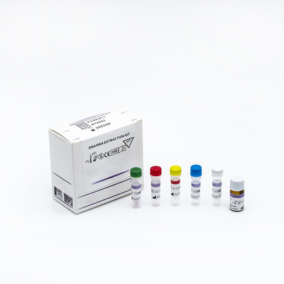 Certificazione rapida acida nucleica di iso 13485 di Kit With della prova di PCR di rilevazione