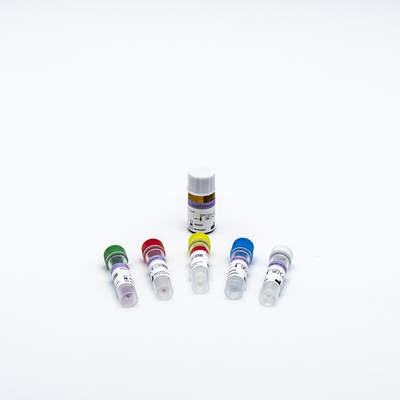 Prove Kit High Reliablity Medical del corredo 48 del reagente di PCR del RNA del DNA