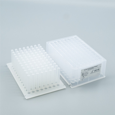 Metodo di perline magnetiche del kit di estrazione dell'acido nucleico approvato ISO 64 test / scatola