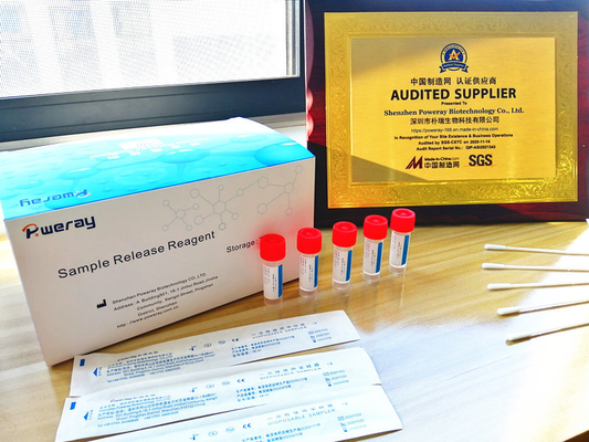 Corredo diagnostico della casa di PCR di RT
