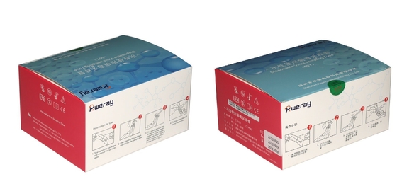 media virali Kit Inactivation Non Inactivation Sampling di trasporto di 2ml VTM